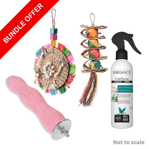 Parrot Essentials Wellness Bundle for Pet Birds - Large