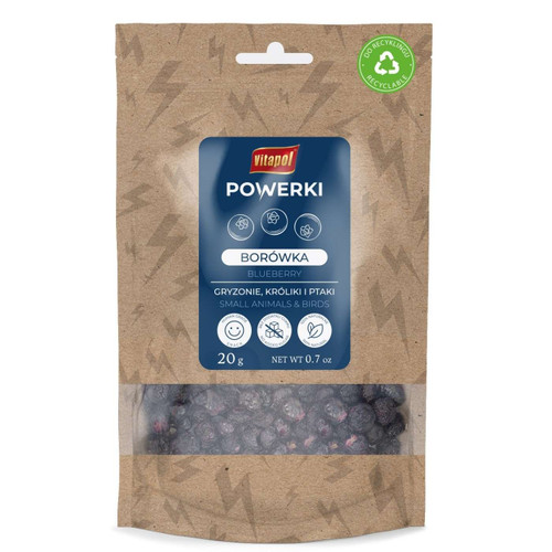 Freeze-Dried Blueberries Natural Parrot Treats - 20g