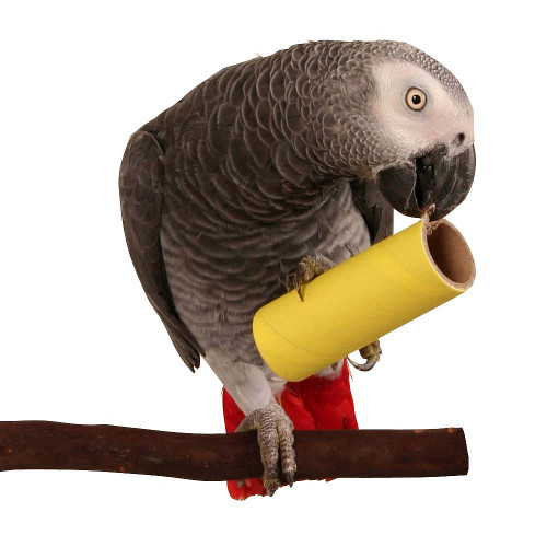 Jute Rope Ball Parrot Foot Toy Medium