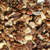Tidymix Mixed Nut Parrot Treat - 250g