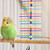 Budgie with the Popsicle Sticks Parakeet & Parrot Toy with Bell