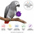 Bright Wooden Daisy Parrot Toy Parts - 20 Pieces