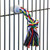 Cotton Rope Parrot Preening Toy - Large
