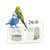 PUUR Budgie Food Feeding Guide