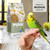 PUUR Budgie Food Seed Mix for Pet Birds - 750g
