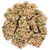 TOP's Original Tesoro Parrot Treat with Pumpkin Seed