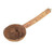Keep Mess inside Parrot Cage Natural Parrot Perch with Coconut Feeding Cup