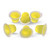 Jelly Cups Pineapple Parrot Treats 6pk