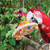 Sombrero Stack Chew & Forage Parrot Toy - Medium