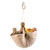 Bounty Forager Boat - Parrot Toy Treasure