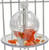 Buffet Ball with Cage Mount - Tough Foraging Parrot Toy