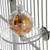 Buffet Ball with Cage Mount  Parrot Foraging Toy