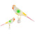 Bird Buddy on Spring Toy for Small Pet Birds