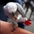 Organic Treats for Parrots by Harrison's
