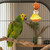 Spooky Pumpkin Witch Fun & Shreddable Bird Toy for Halloween