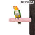 Medium Sized Edible Wavy Calcium Parrot Perch