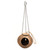 Coconut Fun Ball Foraging Wood Parrot Toy - Large