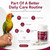 Palmexol Daily Mobility & Comfort Support For Parrots - 30 Capsules
