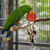 Halloween Pumpkin Hanging Parrot Toy