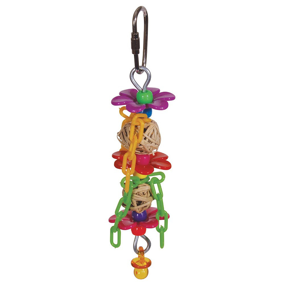 New Parrot Supplies Online Toys Food Treats Cages