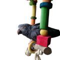 Congo African Grey Parrot Toys