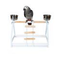 Congo African Grey Parrot Stands