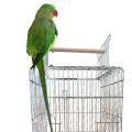 Alexandrine Parakeet Cages