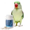 Alexandrine Parakeet Supplements