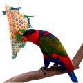 Black Capped Lory Toys