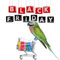 Black Friday and Cyber Monday Offers on Food & Treats