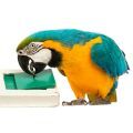 Blue & Gold Macaw Parrot Toys