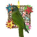 Blue Crowned Conure Toys