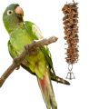 Blue Crowned Conure Treats