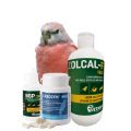 Bourke's Parakeet Parrot Supplements