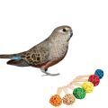 Bourke's Parakeet Parrot Toys