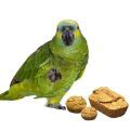 Bread Parrot Food & Treats