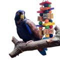 Bronze Winged Pionus Toys