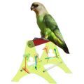 Brown Headed Parrot Stands