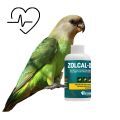 Brown Headed Parrot Supplements
