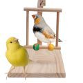 Stands Suitable for Canaries & Finches
