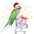 Christmas Parrot Toys & Treats
