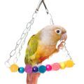 Small Conure Toys