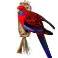 Crimson Rosella Toys
