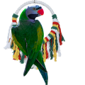 Derbyan Parakeet Parrot Toys