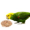 Double Yellow Headed Amazon Food