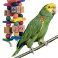 Double Yellow Headed Amazon Toys