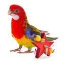Eastern Rosella Toys