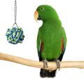 Eclectus Toys