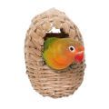 Fischer's Lovebird Toys