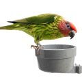 Goldie's Lorikeet Food